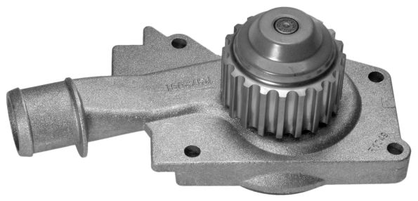 ESCORT CL DEVİRDAİM BSG